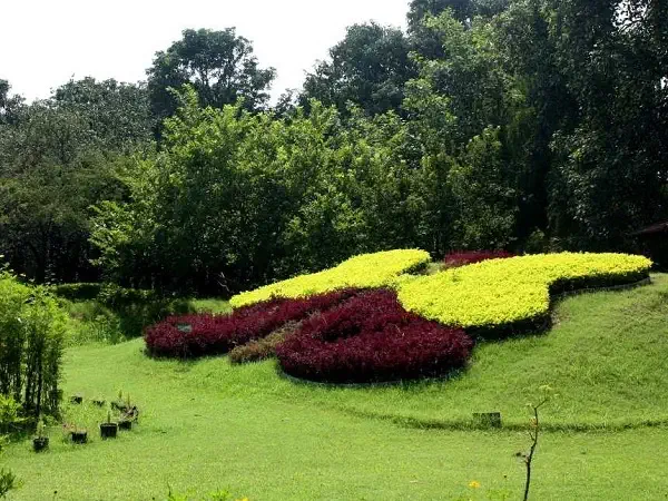 Delhi to Chandigarh Taxi Service