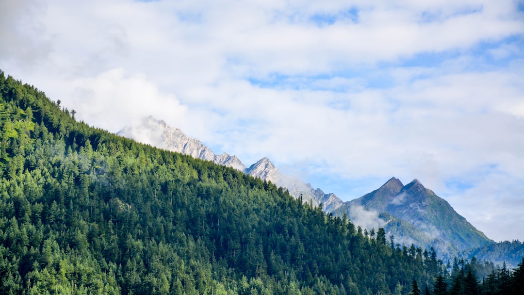 Chandigarh to Manali Taxi
