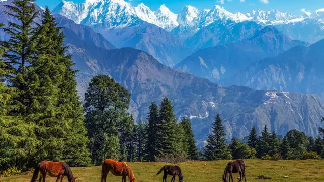 Taxi Service in Pithoragarh